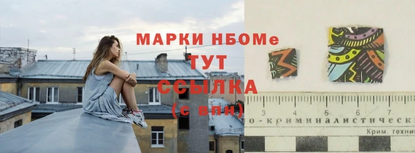 таблы Богородицк